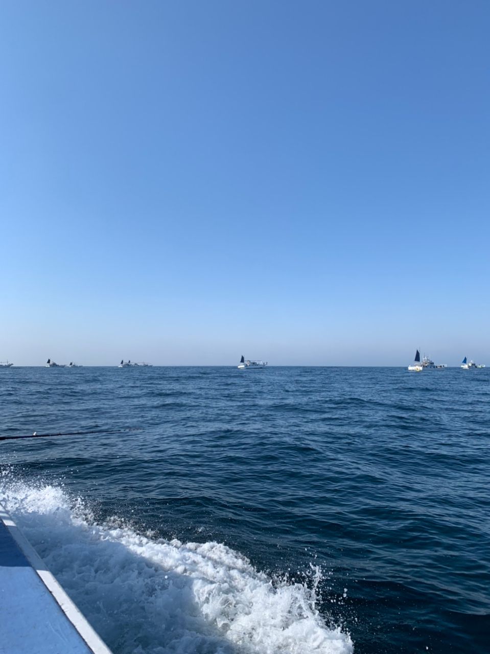 コナツ2015さんの釣果 2枚目の画像