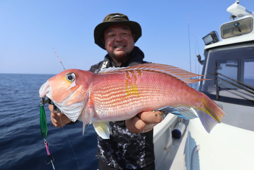 アマダイの釣果