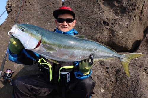 ブリの釣果