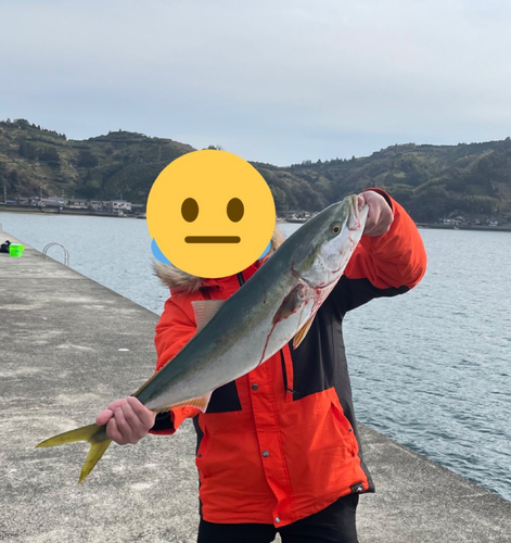 メジロの釣果