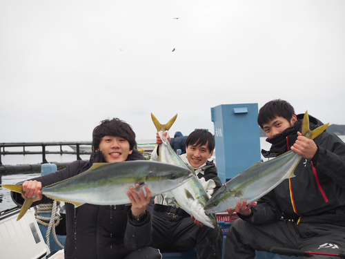 ブリの釣果