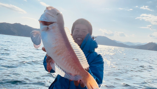 西村篤行 さんの 2024年03月30日のシロアマダイの釣り・釣果情報(大阪湾) - アングラーズ