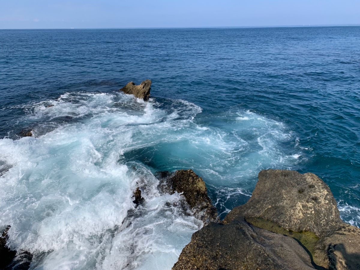クサの上のフグさんの釣果 2枚目の画像