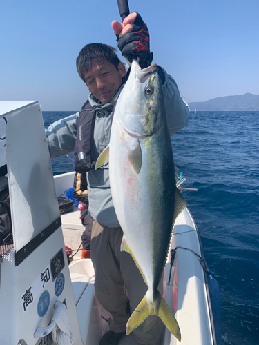 ハマチの釣果