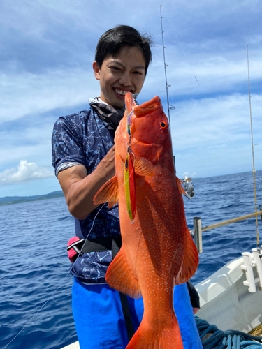 アカジンミーバイの釣果