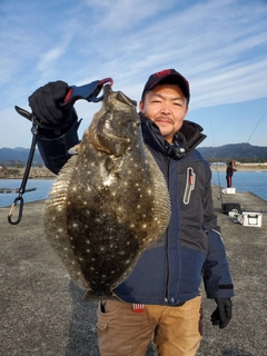 ヒラメの釣果