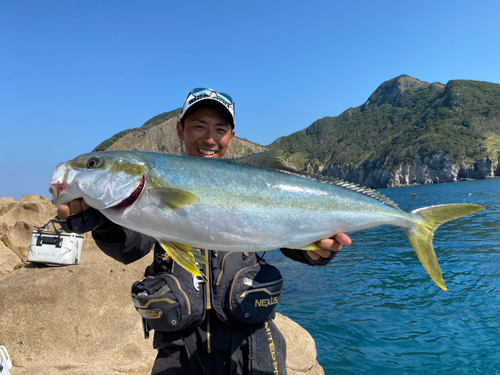 ヒラマサの釣果