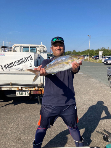 カンパチの釣果