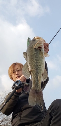 ブラックバスの釣果