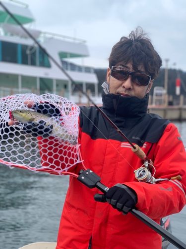 ブラウントラウトの釣果