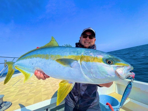 ヒラマサの釣果