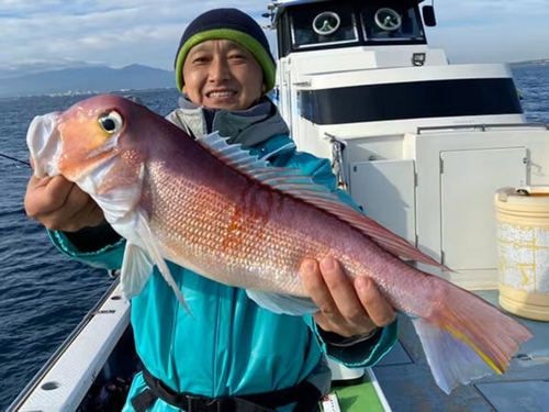 アマダイの釣果