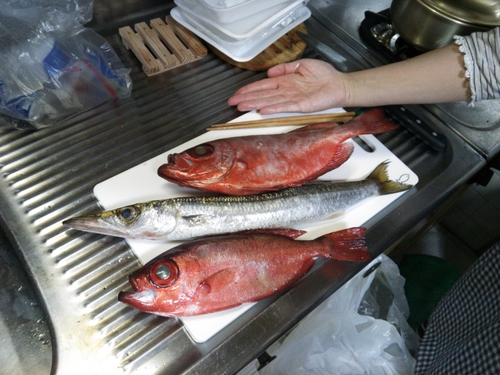 チカメキントキの釣果