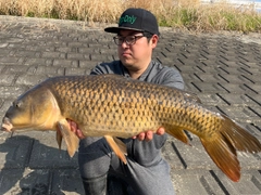 コイの釣果