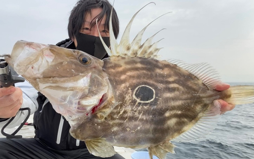 マトウダイの釣果