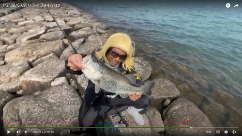 ブラックバスの釣果