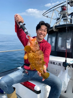 アコウの釣果