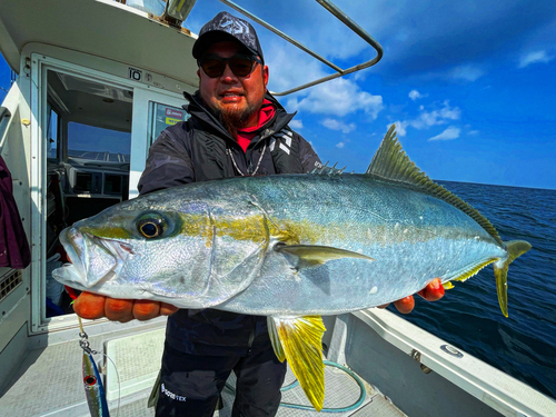 ヒラマサの釣果