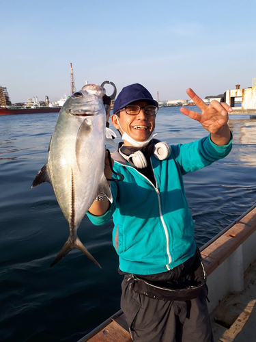 メッキの釣果