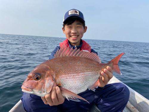 マダイの釣果