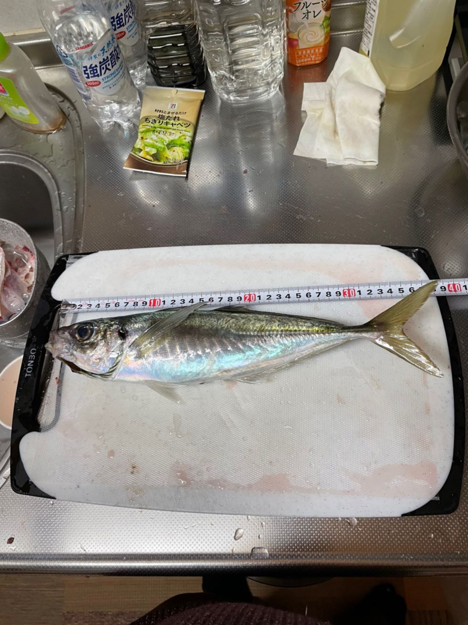 アングラーだいすけさんの釣果 3枚目の画像