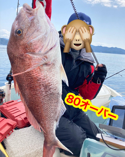 マダイの釣果