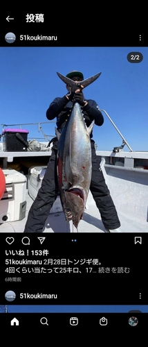 ビンチョウマグロの釣果