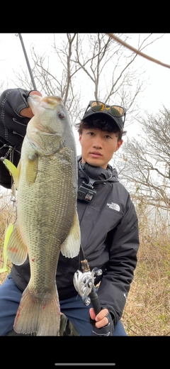 ブラックバスの釣果