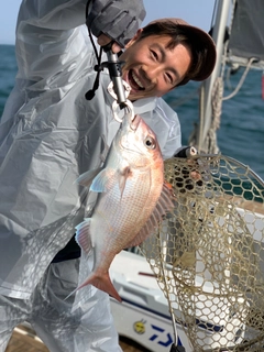 タイの釣果