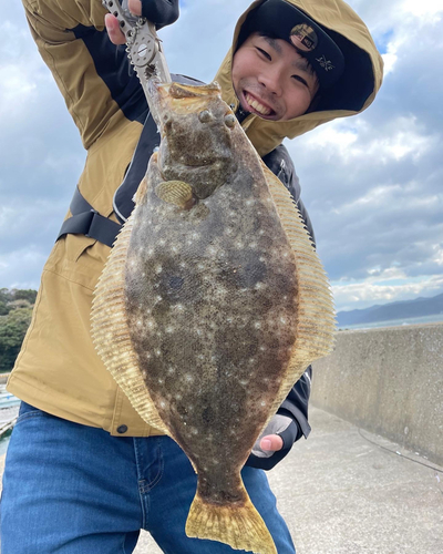 ヒラメの釣果