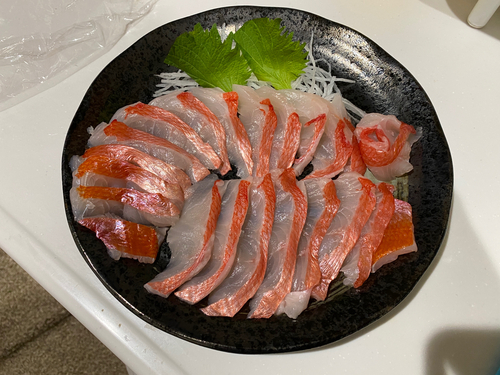 キンメダイの釣果