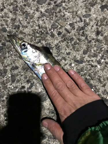 釣果