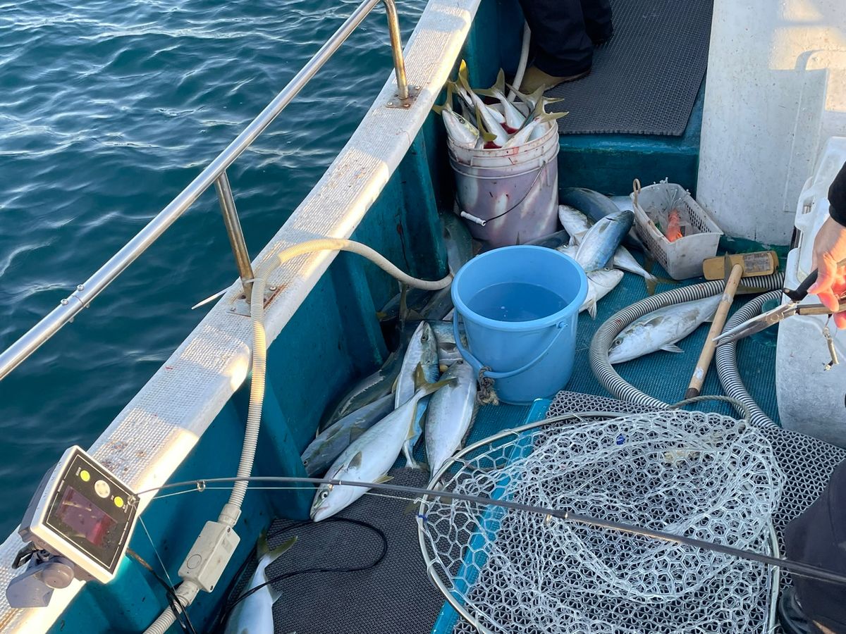 4.1魚力さんの釣果 2枚目の画像