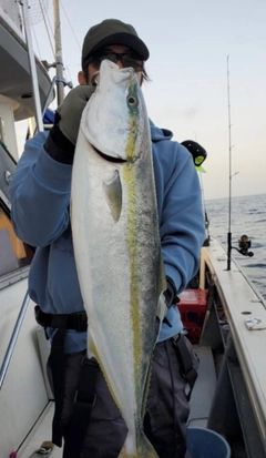 メジロの釣果