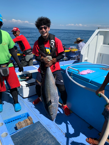 キハダマグロの釣果