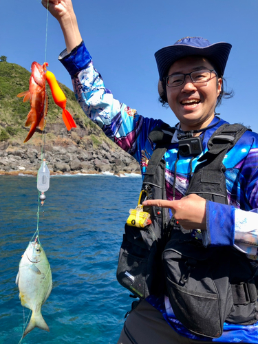 アカハタの釣果