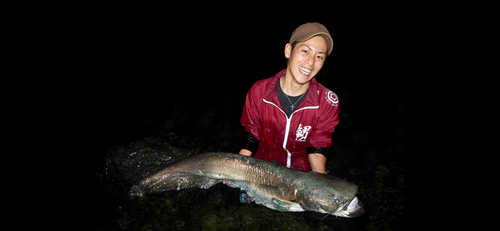 ビワコオオナマズの釣果