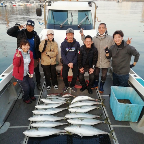 ブリの釣果