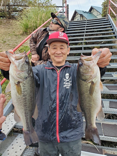 ブラックバスの釣果