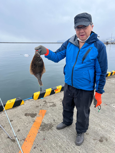 カレイの釣果