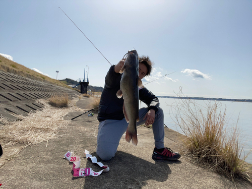 アメリカナマズの釣果