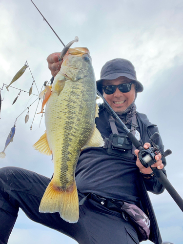 ブラックバスの釣果