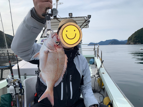 マダイの釣果