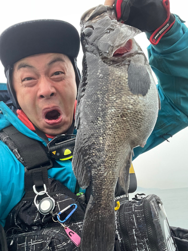 クロソイの釣果