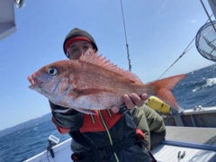 マダイの釣果