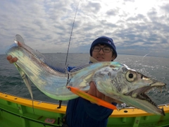 タチウオの釣果