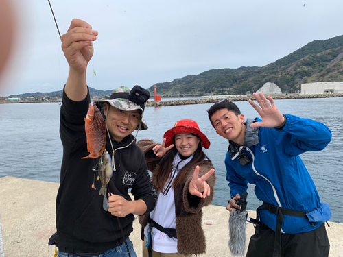 アカササノハベラの釣果