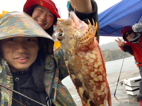 カサゴの釣果