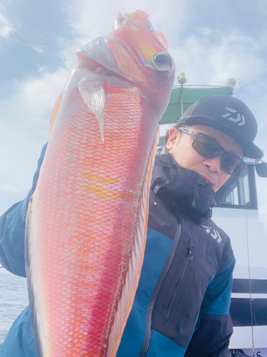 アマダイの釣果