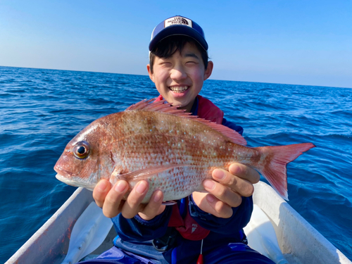 マダイの釣果